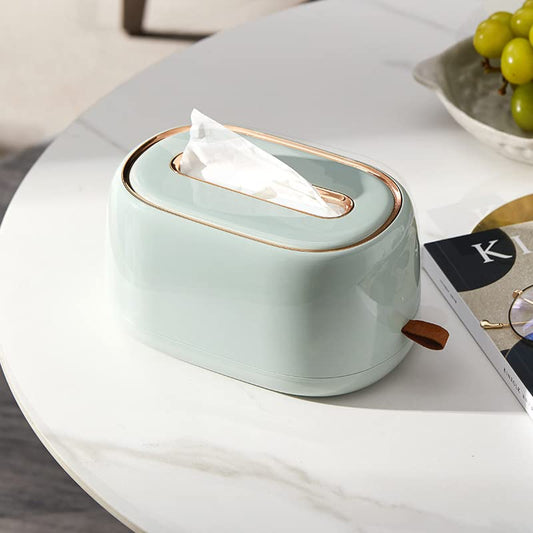TISSUE PAPER HOLDER & WALL-MOUNTING NAPKIN DISPENSER - COOL MINT