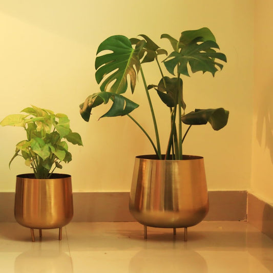 ELEGANT METAL PLANTER - PACK OF 2